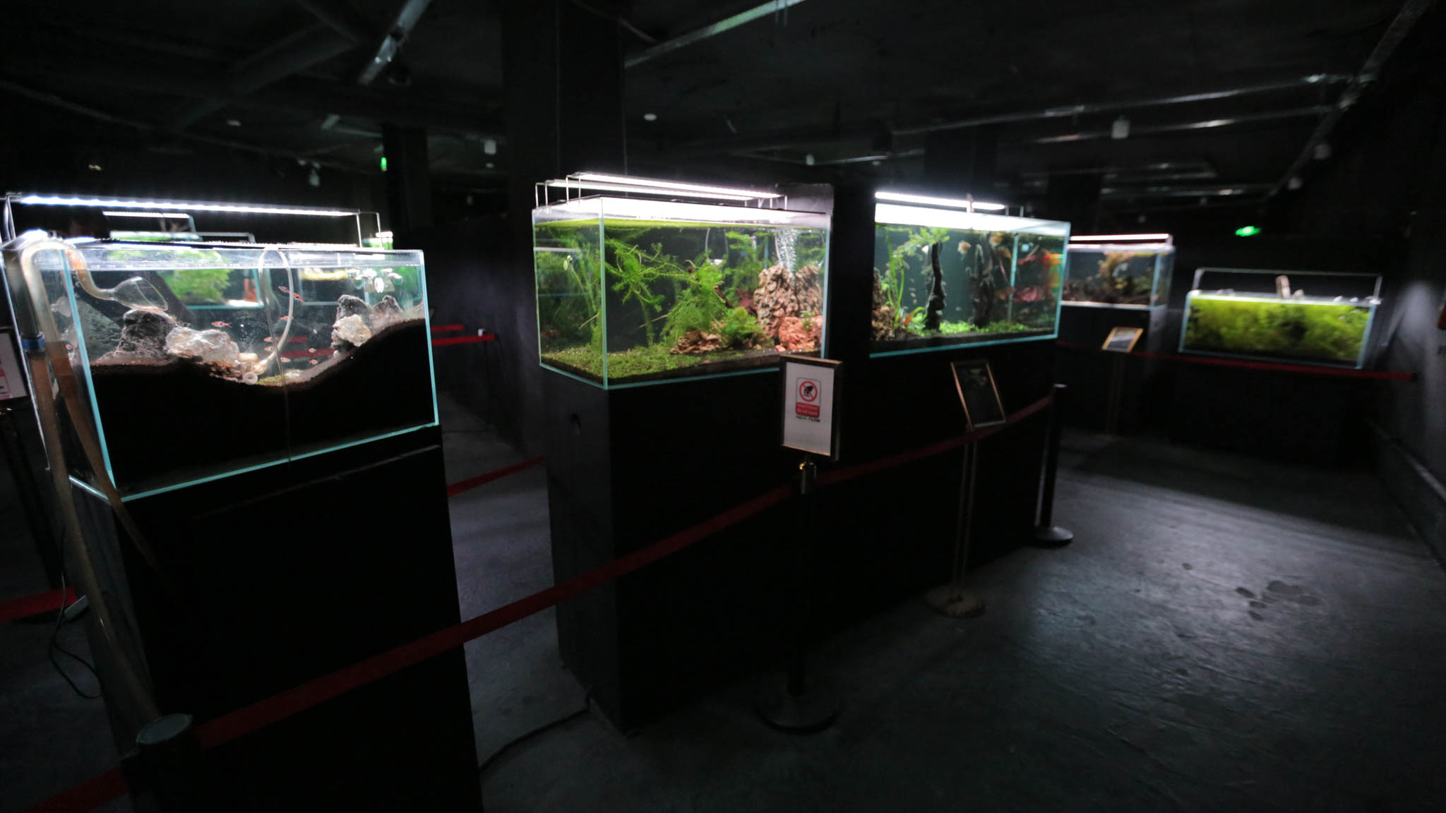 معرض الأسماك "أكوافارم"