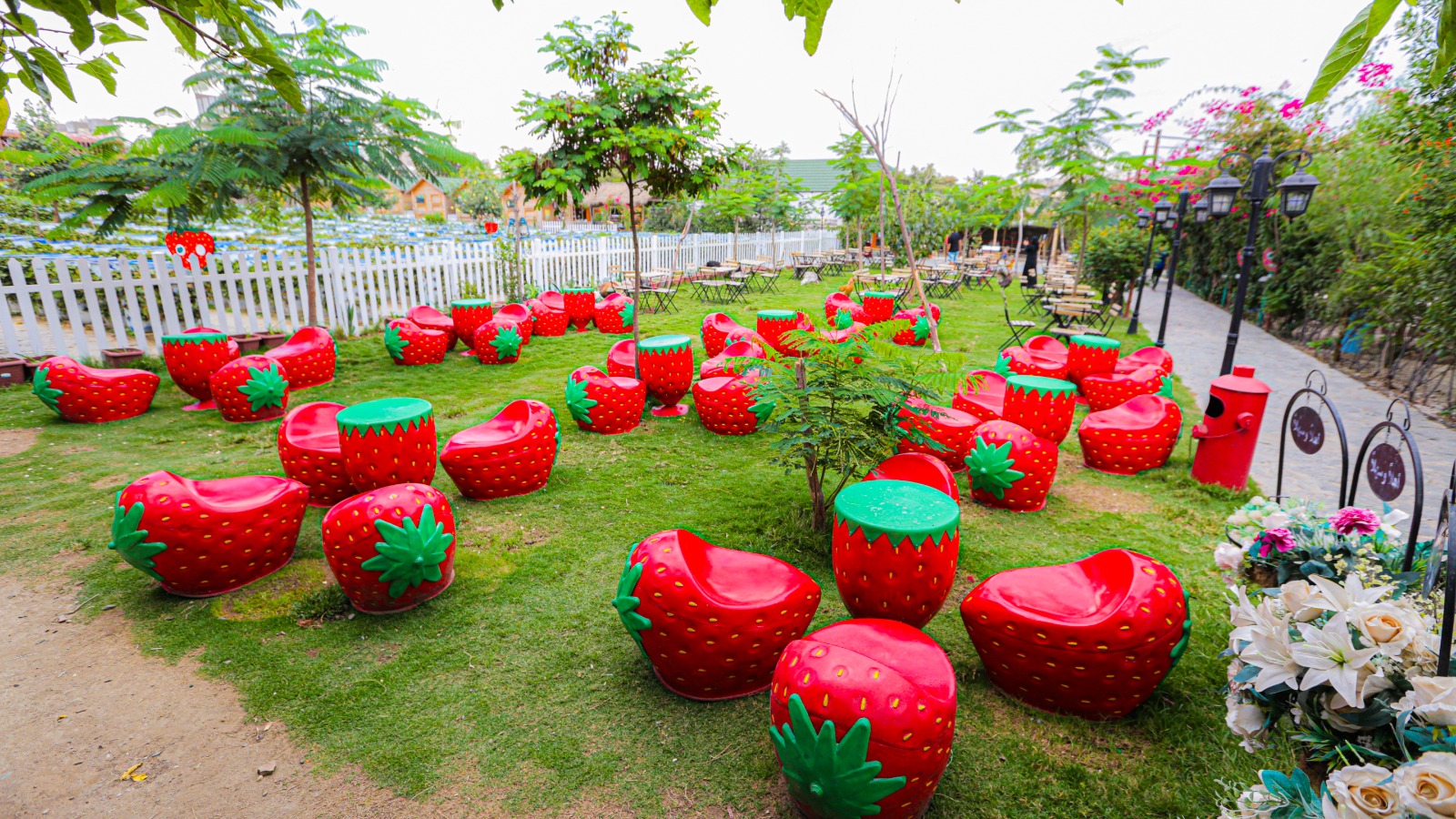 جلسات الفراولة